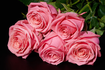 Five pink roses on black background, isolated