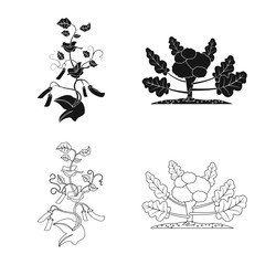 Isolated object of greenhous and plant icon. Collection of greenhous and garden stock vector illustration.