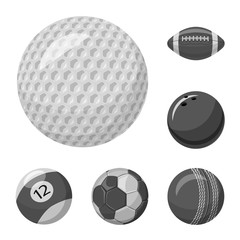 Isolated object of sport and ball symbol. Set of sport and athletic vector icon for stock.