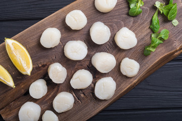 Raw scallops with salad