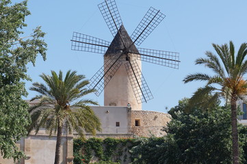 palma © fotobild40