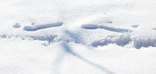 Fototapeta na wymiar traces on the snow