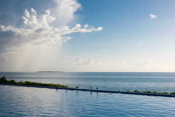 Birds on pool's edge with Atlantic in the backround, Cayo Guillermo, Cuba