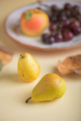 Autumn fruits