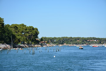 Lège-Cap-Ferret - Grand Piquey