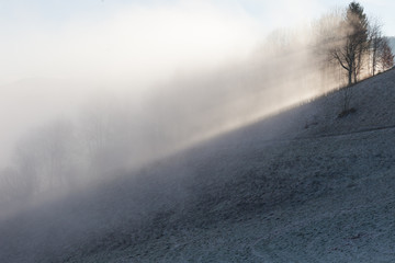Fog on sunrise