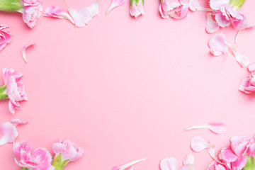 Fototapeta na wymiar pink carnations flower for on pink
