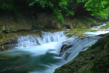 Fototapeta premium 夏の気仙大滝