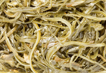 Fresh algae salad, Sea kale