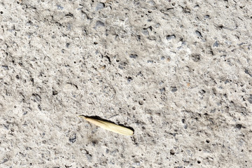 concrete, abstract background