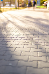 paving stone path goes away the prospect in the sunset