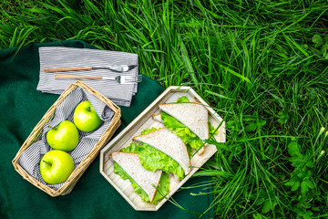 Summertime picnic concept. Light healthy food. Sandwiches and apples on green grass. top view space for text