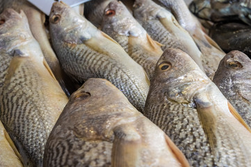 Fresh fish displayed at a street market in Brazil