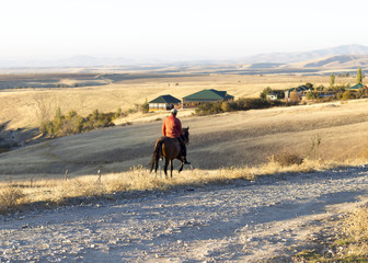 people riding in a field on a horse