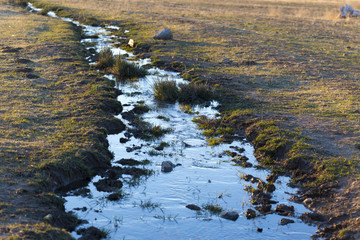 sunset, water flowing through the field