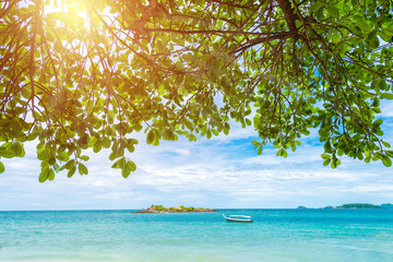green leaves background with tropical beach