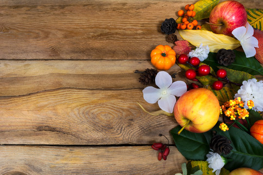 Fall  background with apples, berries, white flowers, copy space