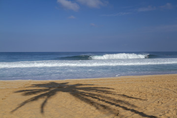 Surfers on a wave in Hawaii