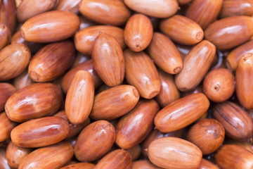 brown background, lots of acorns