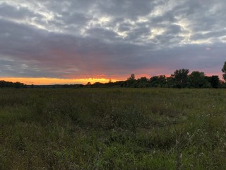 Fototapeta premium sunrise over the field