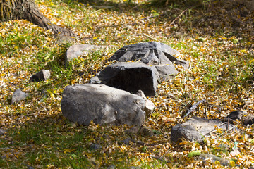 autumn, a stone in nature with yellow leaves