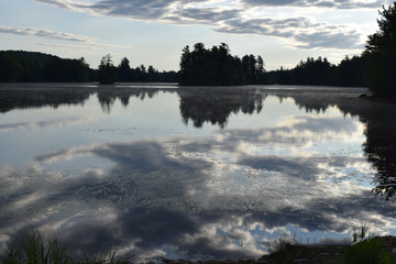 Branch Pond Reflection