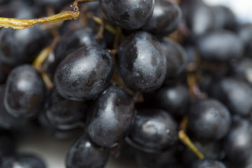 black grape macro