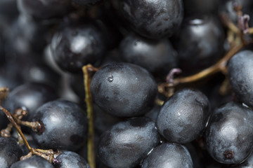 black grape macro