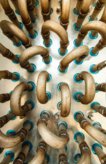 Coil heat exchanger's tubings.