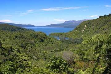 New Zealand, North Island, jungle falls, waterfall, Tarawera Trail, Buried Village of Wairoa, volcano, Lake Tarawera, Rotorua, hiking, jungle