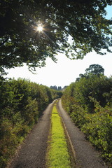 Country road covered in grass in Somerset