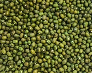 Green bean Mung bean Texture.