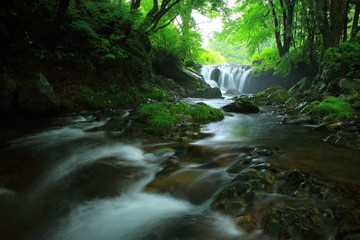 Obraz premium 夏の気仙大滝