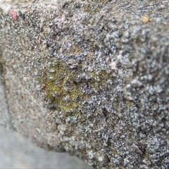 detail of an old concrete brick wall