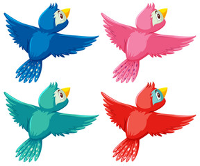 A set of differnt color bird