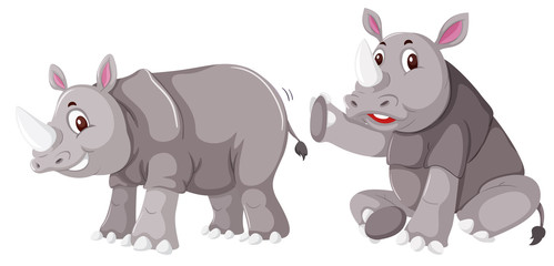 Rhinoceros on white background