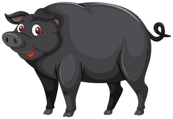 A black pig on white background