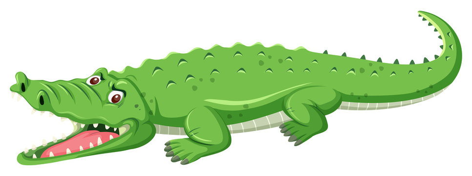 A green crocodile open mouth