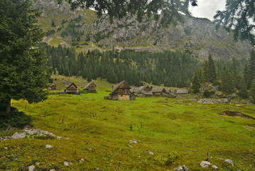 Traditional wooden shepherd huts on high alpine meadow in slovenian part of Julian Alps