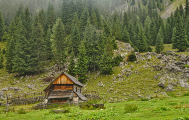 Traditional wooden shepherd huts on high alpine meadow in slovenian part of Julian Alps