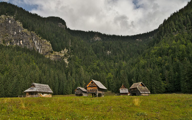 Fototapeta na wymiar Traditional wooden shepherd huts on high alpine meadow in slovenian part of Julian Alps