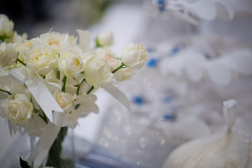 rose flower background, flower pot,  white rose,  colorful background, fresh rose, bunch of flower