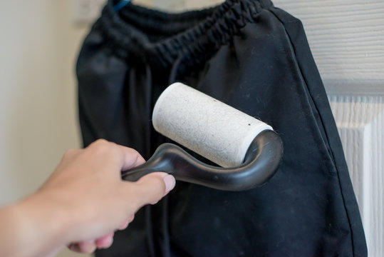 Hand Holding A Hair Removal Roller On Clothes. Pet Hair Roller.