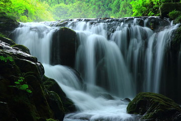 Obraz premium 夏の気仙大滝