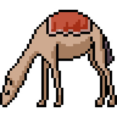 Fototapeta premium vector pixel art camel