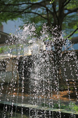 Fast shot shutter speed camera of the fountain in the park.