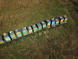 Fototapeta premium Top view of beehive