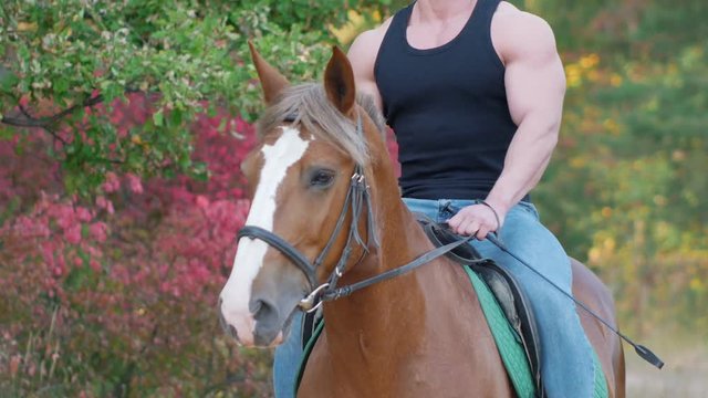 Weightlifter in sunglasses and a black t-shirt riding a brown horse on a forest path