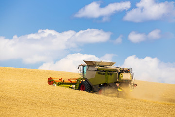 modern harvester during harvest of wheat on sunny day