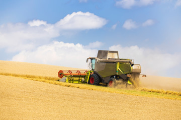 modern harvester during harvest of wheat on sunny day